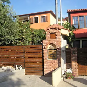 Arabas Thessalonique